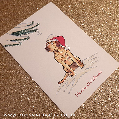 Labrador Yellow Christmas Card (Flitter Range)